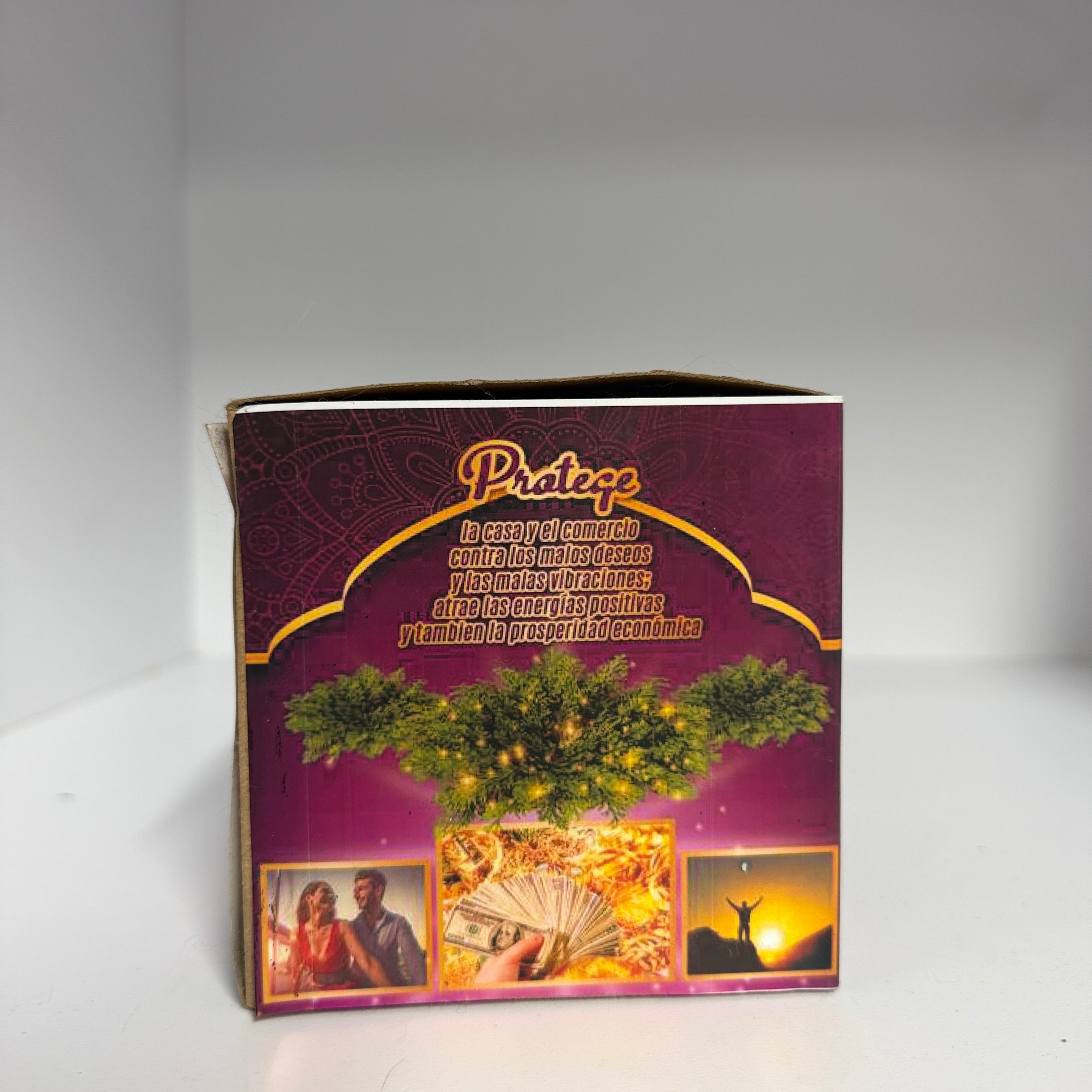 Protección hogar “Flor de Jerico”